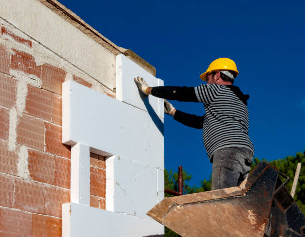 Best Geographic-Specific Insulation Services in Woodson Terrace, MO