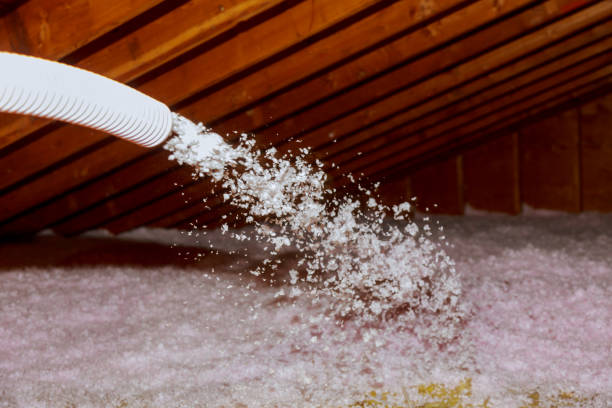 Best Insulation Maintenance and Repair in Woodson Terrace, MO