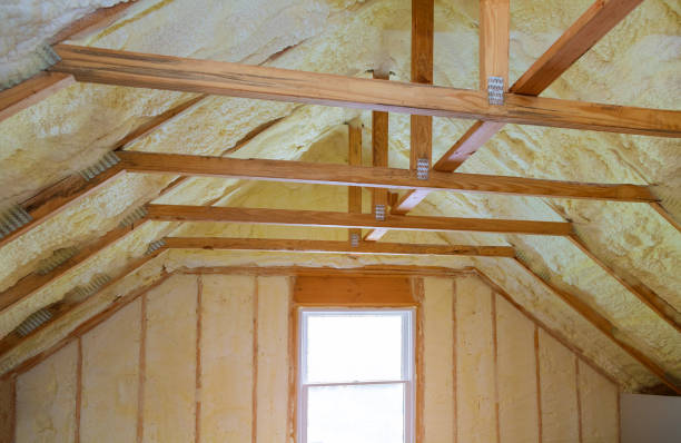 Best Specialized Insulation Services in Woodson Terrace, MO